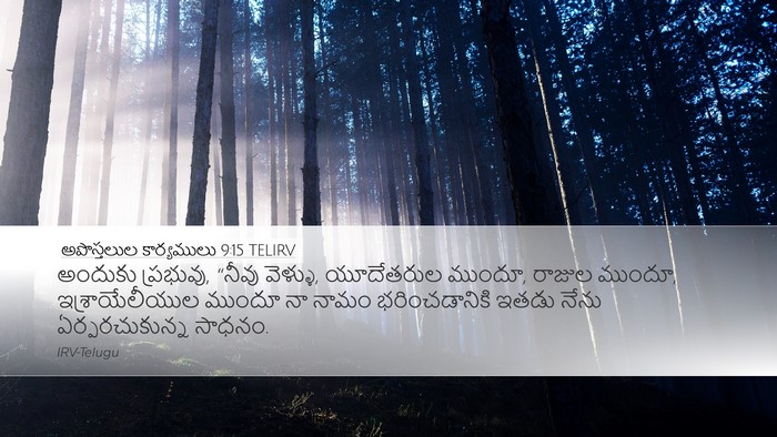 అపొస్తలుల కార్యములు 9:15 TELIRV Bible Verse Image