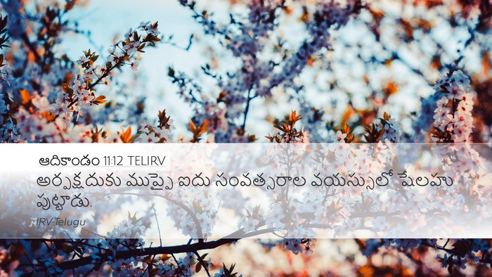 ఆదికాండం 11:12 TELIRV Bible Verse Image