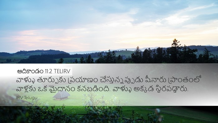 ఆదికాండం 11:2 TELIRV Bible Verse Image