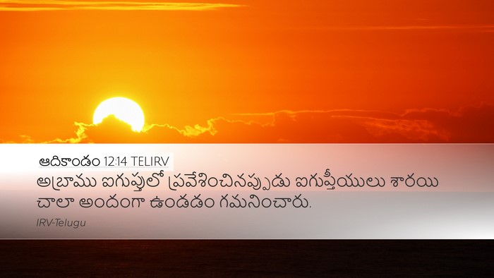 ఆదికాండం 12:14 TELIRV Bible Verse Image