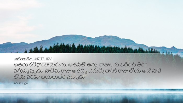 ఆదికాండం 14:17 TELIRV Bible Verse Image