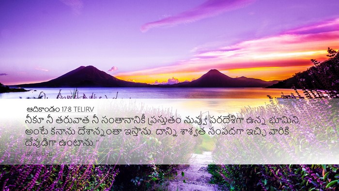 ఆదికాండం 17:8 TELIRV Bible Verse Image