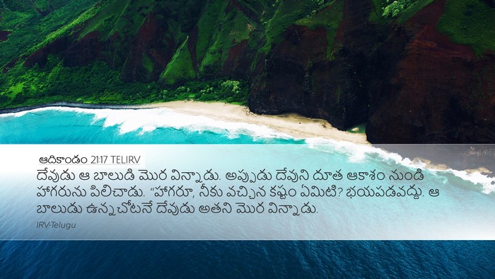 ఆదికాండం 21:17 TELIRV Bible Verse Image