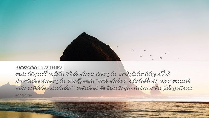 ఆదికాండం 25:22 TELIRV Bible Verse Image