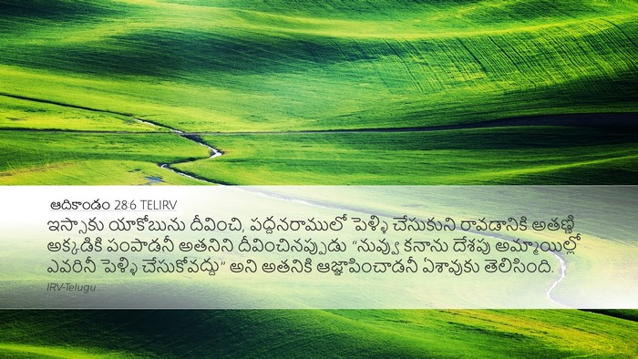 ఆదికాండం 28:6 TELIRV Bible Verse Image