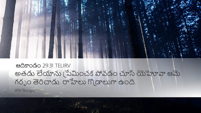 ఆదికాండం 29:31 TELIRV Bible Verse Image