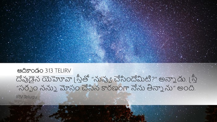 ఆదికాండం 3:13 TELIRV Bible Verse Image