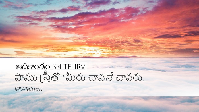 ఆదికాండం 3:4 TELIRV Bible Verse Image