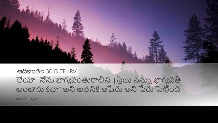 ఆదికాండం 30:13 TELIRV Bible Verse Image