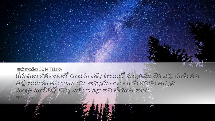 ఆదికాండం 30:14 TELIRV Bible Verse Image