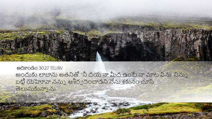 ఆదికాండం 30:27 TELIRV Bible Verse Image