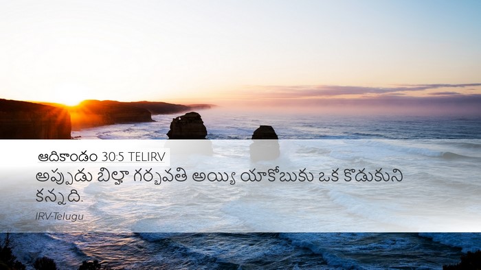 ఆదికాండం 30:5 TELIRV Bible Verse Image