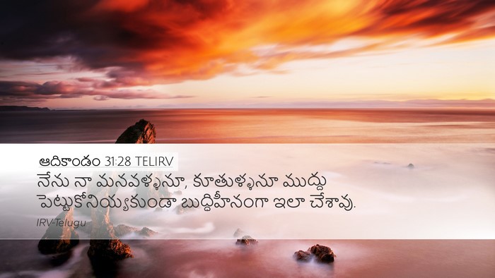 ఆదికాండం 31:28 TELIRV Desktop Wallpaper - నేను నా మనవళ్ళనూ, - Desktop Bible Verse Wallpaper