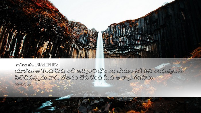ఆదికాండం 31:54 TELIRV Bible Verse Image