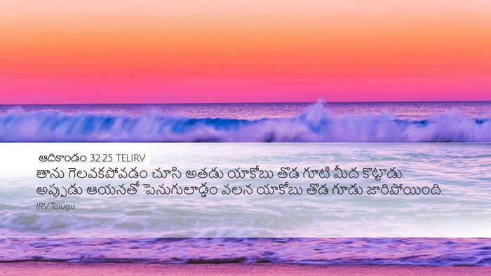 ఆదికాండం 32:25 TELIRV Bible Verse Image