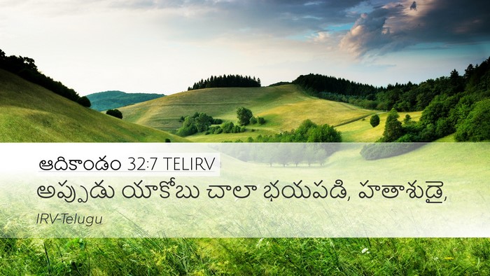 ఆదికాండం 32:7 TELIRV Bible Verse Image