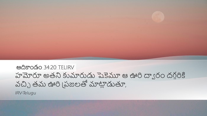 ఆదికాండం 34:20 TELIRV Bible Verse Image