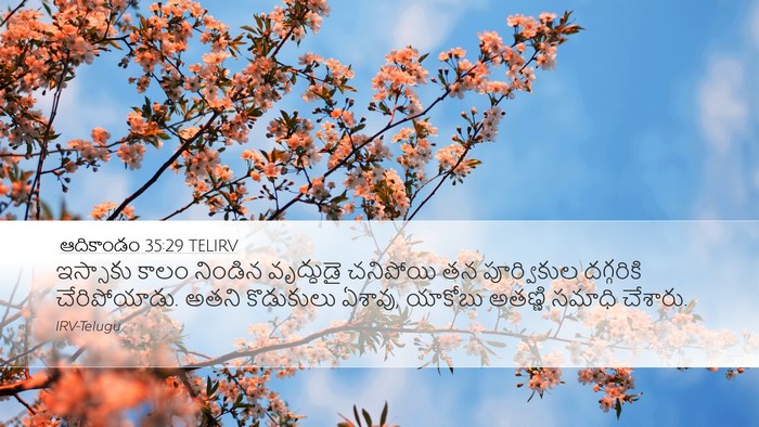 ఆదికాండం 35:29 TELIRV Bible Verse Image