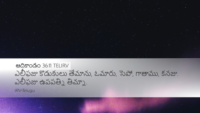 ఆదికాండం 36:11 TELIRV Bible Verse Image