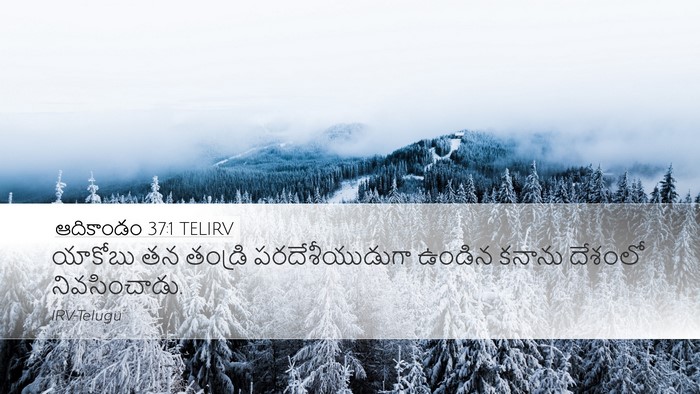 ఆదికాండం 37:1 TELIRV Desktop Wallpaper - యాకోబు తన తండ్రి - Desktop Bible Verse Wallpaper