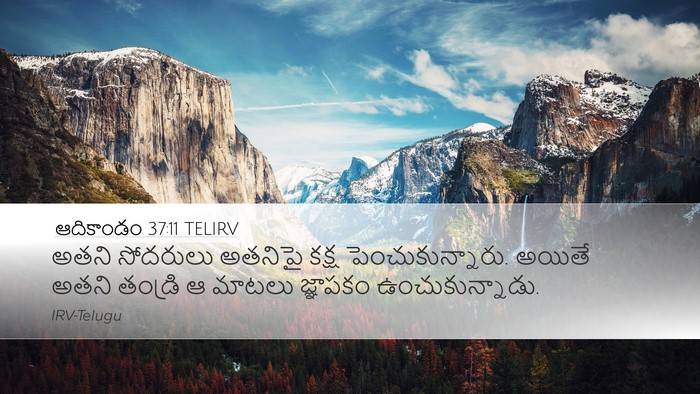 ఆదికాండం 37:11 TELIRV Bible Verse Image