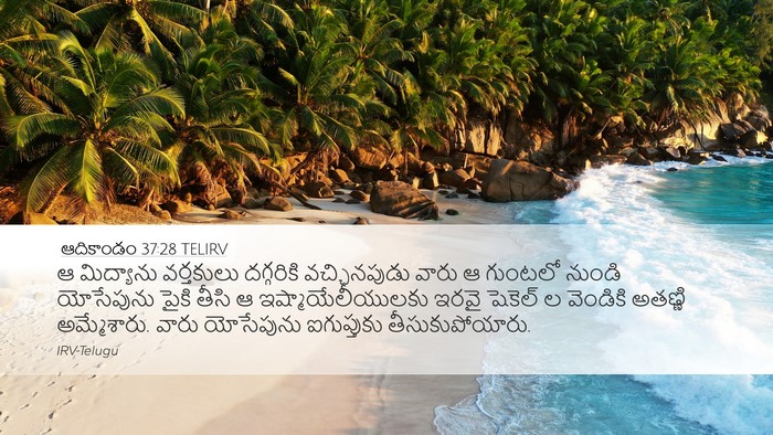 ఆదికాండం 37:28 TELIRV Bible Verse Image