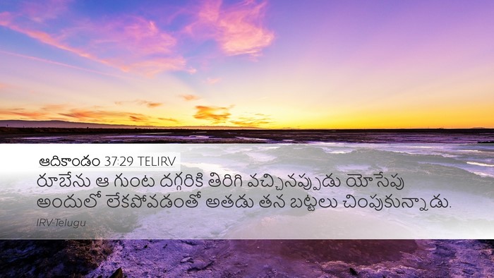 ఆదికాండం 37:29 TELIRV Bible Verse Image
