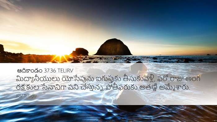 ఆదికాండం 37:36 TELIRV Bible Verse Image