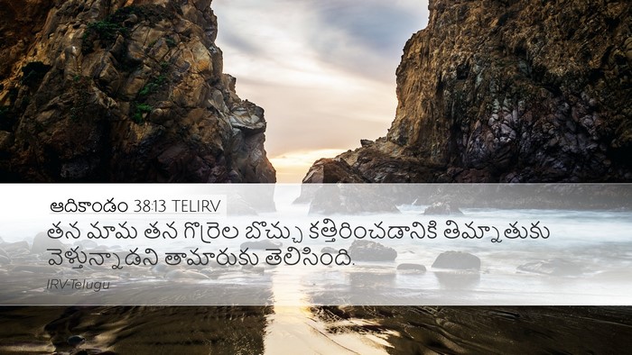 ఆదికాండం 38:13 TELIRV Bible Verse Image