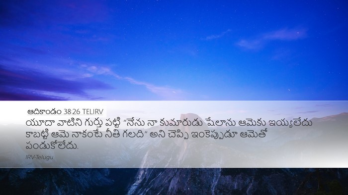 ఆదికాండం 38:26 TELIRV Bible Verse Image