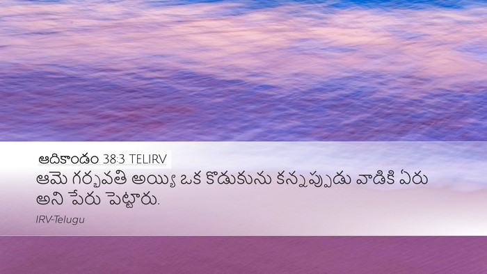 ఆదికాండం 38:3 TELIRV Desktop Wallpaper - ఆమె గర్భవతి అయ్యి - Desktop Bible Verse Wallpaper