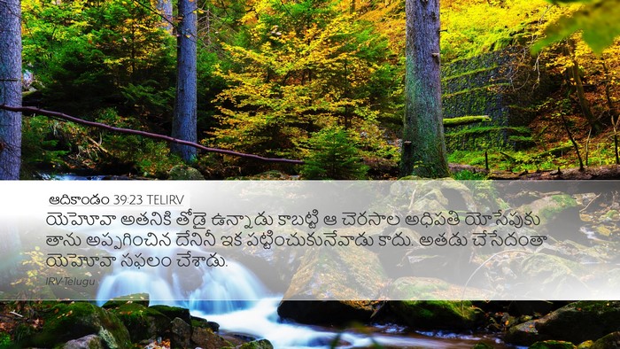 ఆదికాండం 39:23 TELIRV Bible Verse Image