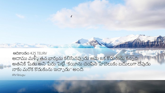 ఆదికాండం 4:25 TELIRV Bible Verse Image