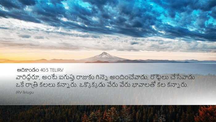 ఆదికాండం 40:5 TELIRV Bible Verse Image