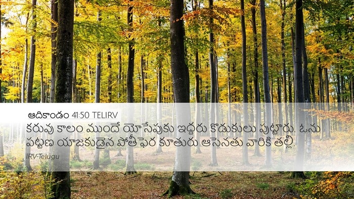 ఆదికాండం 41:50 TELIRV Bible Verse Image