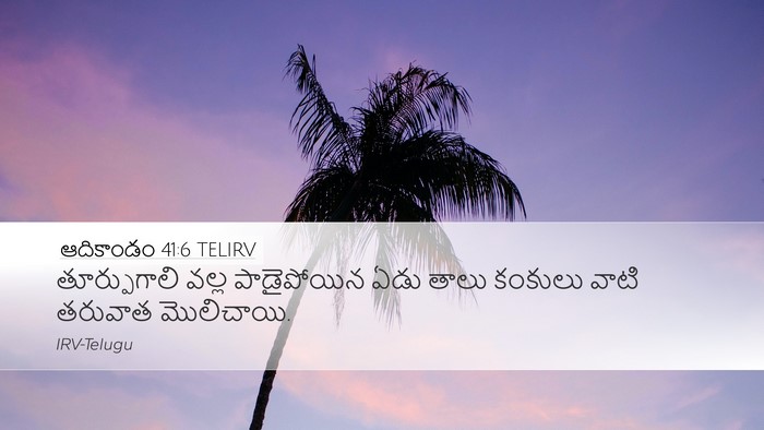 ఆదికాండం 41:6 TELIRV Bible Verse Image