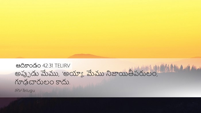 ఆదికాండం 42:31 TELIRV Bible Verse Image