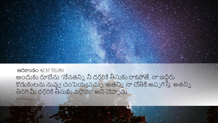 ఆదికాండం 42:37 TELIRV Bible Verse Image