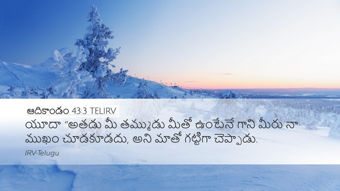 ఆదికాండం 43:3 TELIRV Bible Verse Image