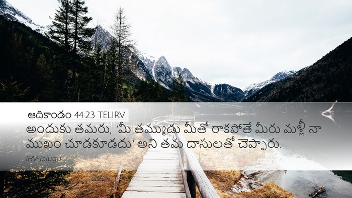 ఆదికాండం 44:23 TELIRV Bible Verse Image