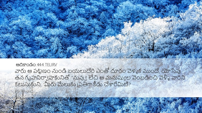 ఆదికాండం 44:4 TELIRV Bible Verse Image