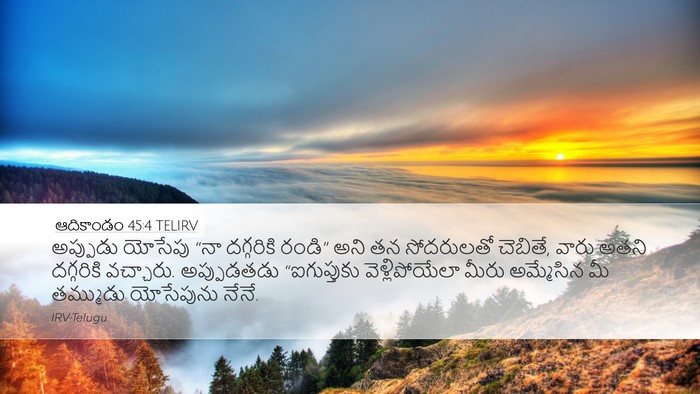 ఆదికాండం 45:4 TELIRV Bible Verse Image