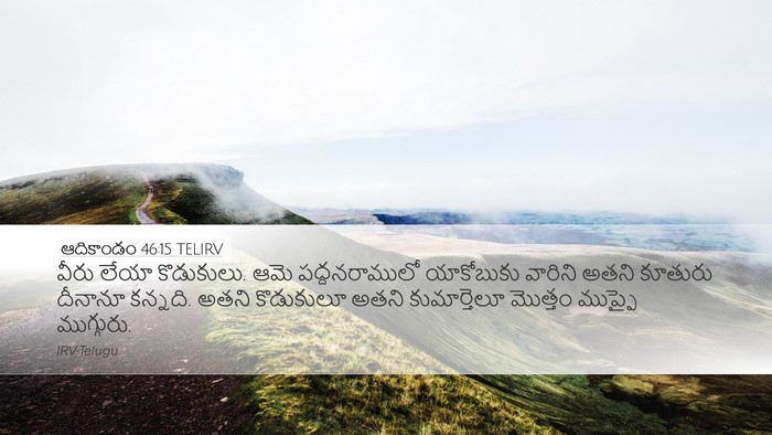 ఆదికాండం 46:15 TELIRV Bible Verse Image
