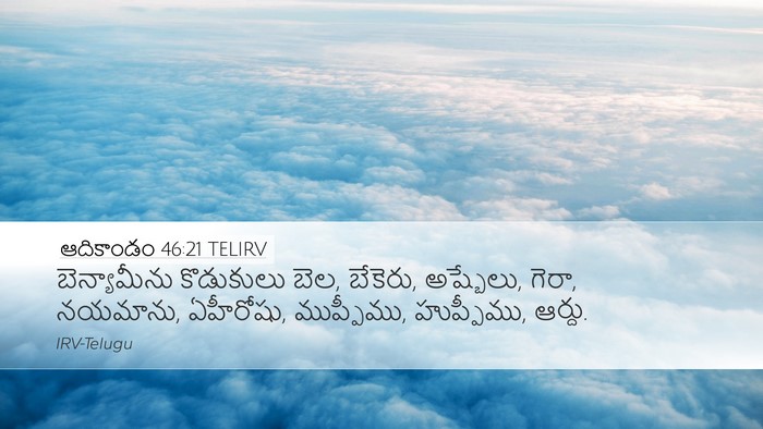 ఆదికాండం 46:21 TELIRV Bible Verse Image
