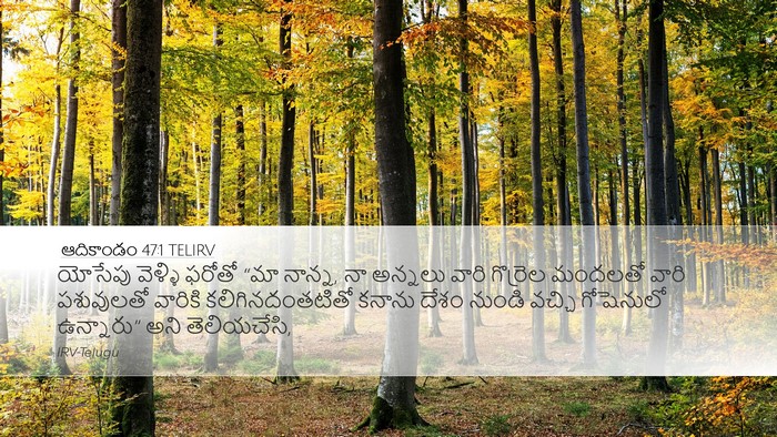 ఆదికాండం 47:1 TELIRV Desktop Wallpaper - యోసేపు వెళ్ళి - Desktop Bible Verse Wallpaper
