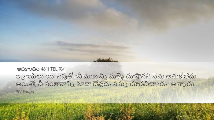 ఆదికాండం 48:11 TELIRV Bible Verse Image