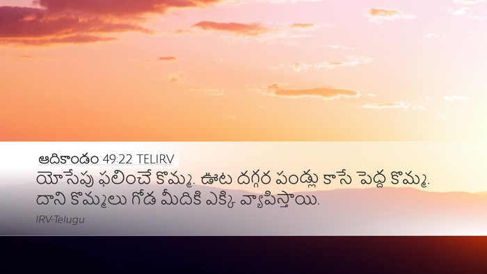 ఆదికాండం 49:22 TELIRV Bible Verse Image