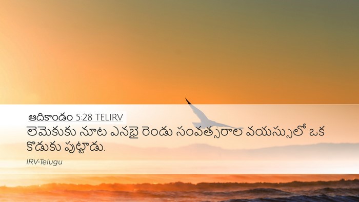 ఆదికాండం 5:28 TELIRV Bible Verse Image