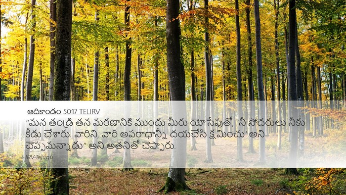 ఆదికాండం 50:17 TELIRV Bible Verse Image