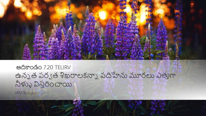 ఆదికాండం 7:20 TELIRV Desktop Wallpaper - ఉన్నత పర్వత - Desktop Bible Verse Wallpaper